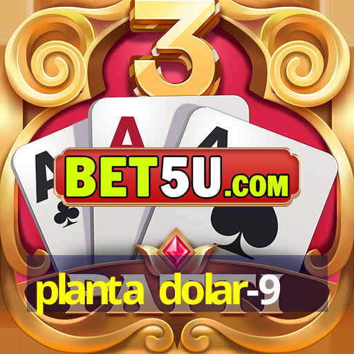 planta dolar